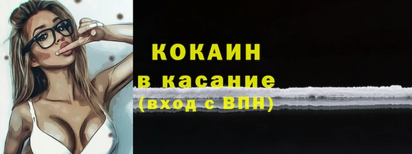 Альфа ПВП Верея