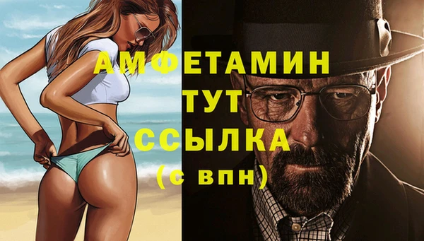 Альфа ПВП Верея