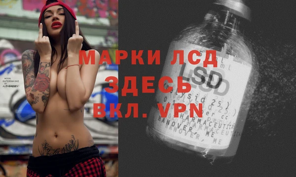 Альфа ПВП Верея