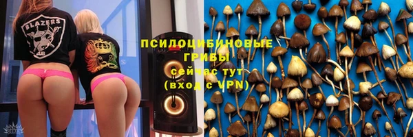 Альфа ПВП Верея