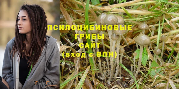 Альфа ПВП Верея