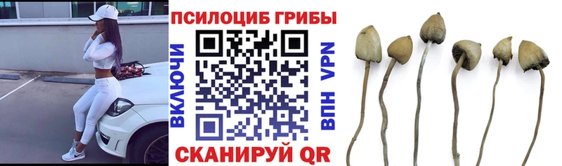 Галлюциногенные грибы Magic Shrooms Новокузнецк